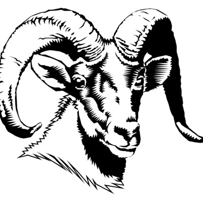 Ram